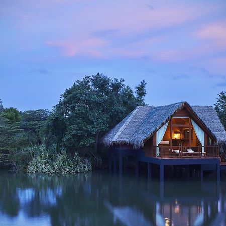 Jetwing Vil Uyana, A Luxury Reserve Sigiriya Exteriör bild